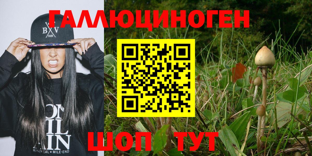 Фролово  Галлюциногенные грибы Magic Shrooms  Вход с VPN 