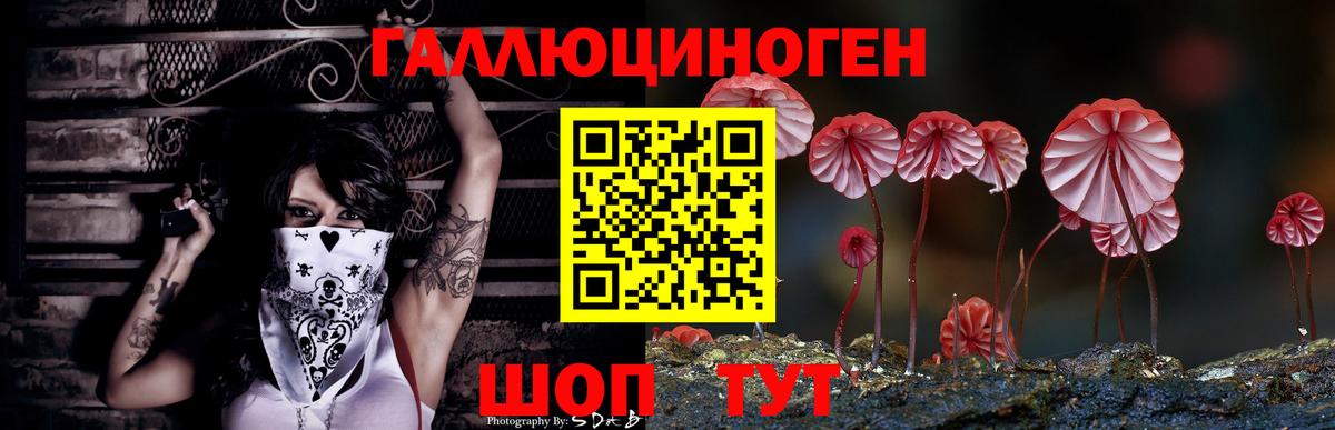 Галлюциногенные грибы GOLDEN TEACHER Фролово